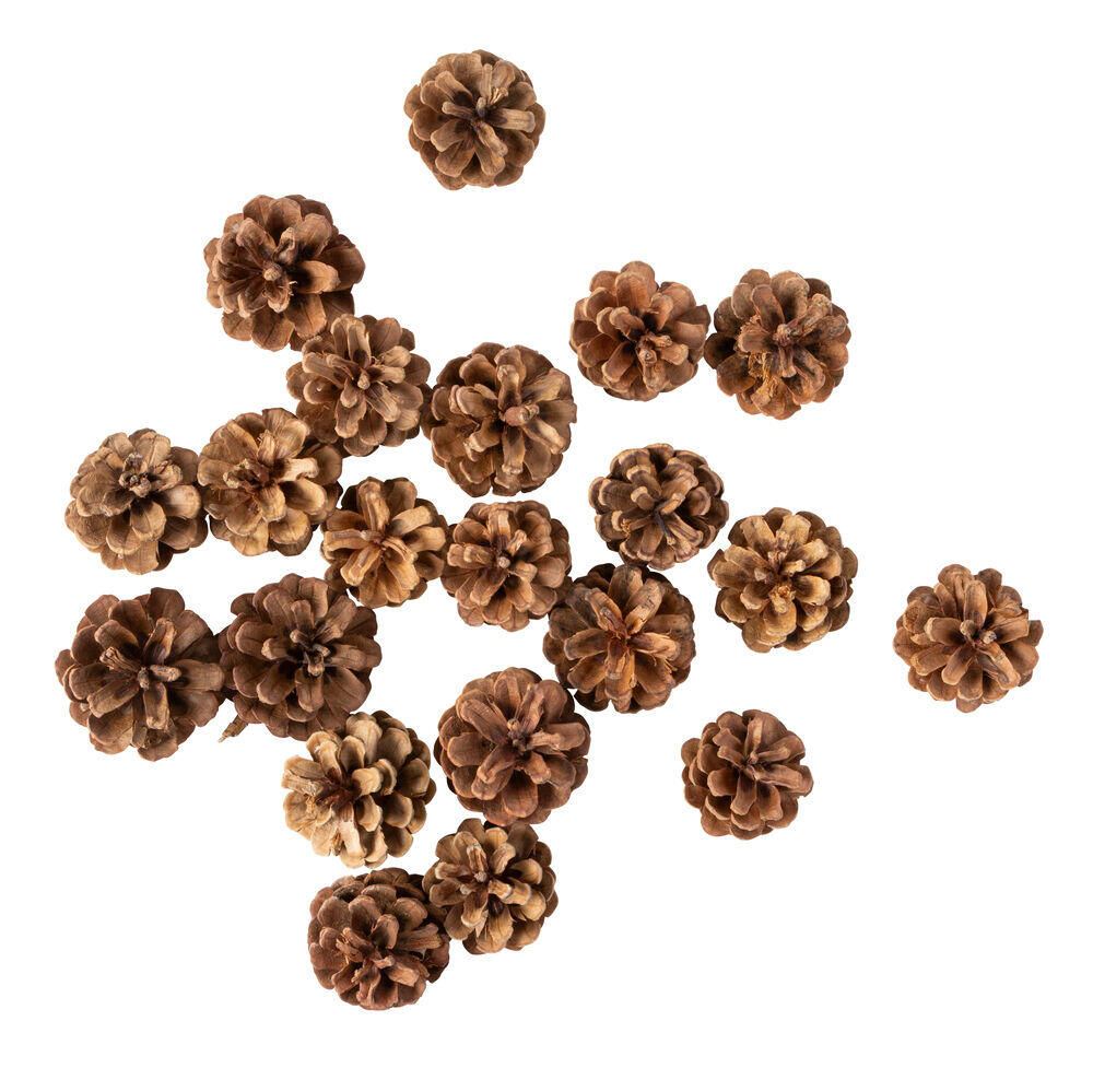 Kongler dekor 200g