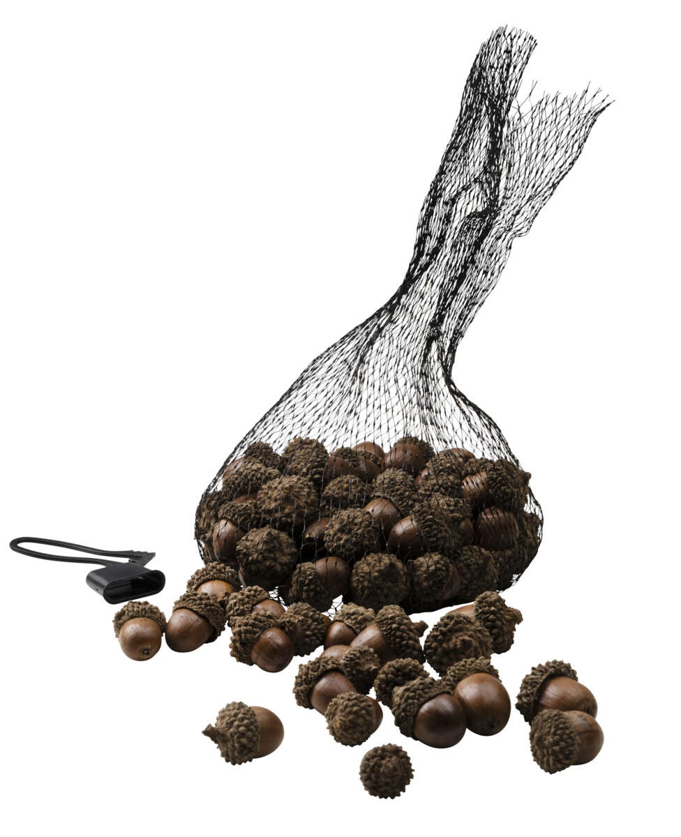 Eikenøtter dekor 200g