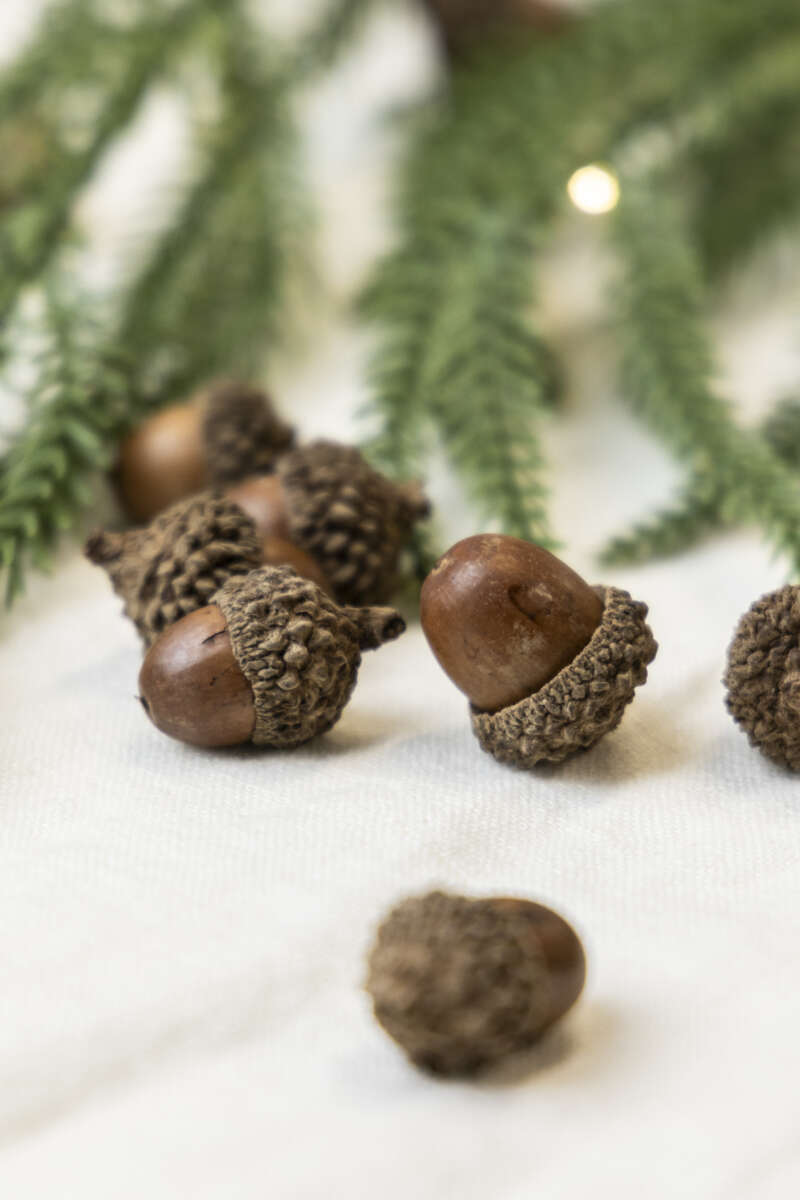 Eikenøtter dekor 200g