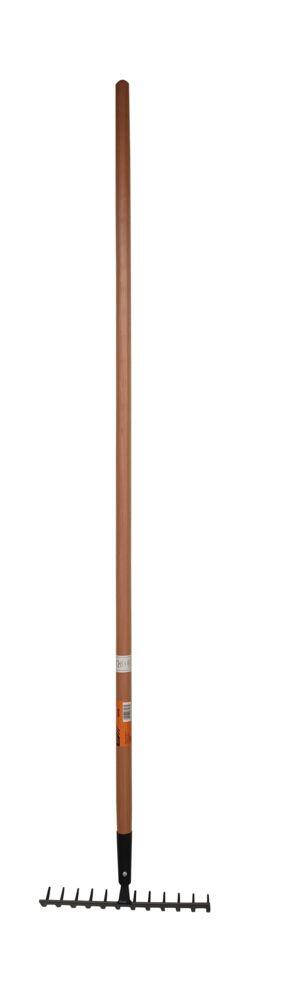 Odle rake