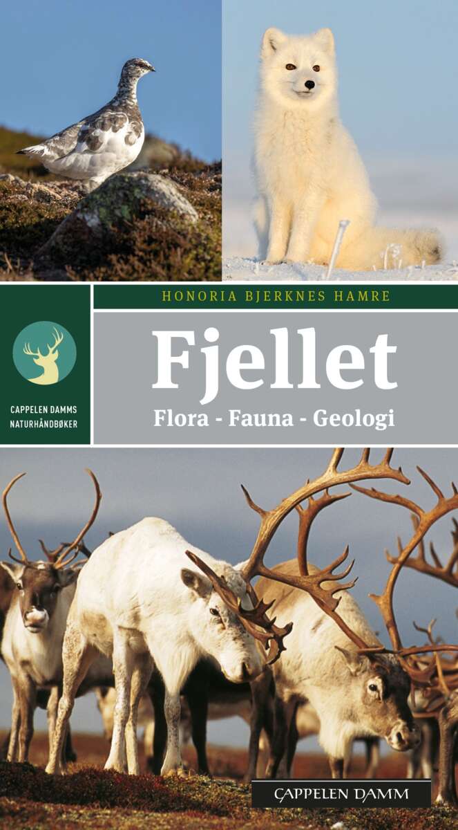 Naturhåndbok: Fjellet