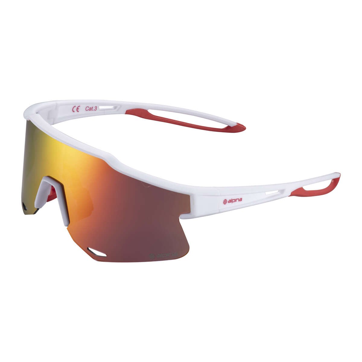 Alpina Sjusøen multisportbrille