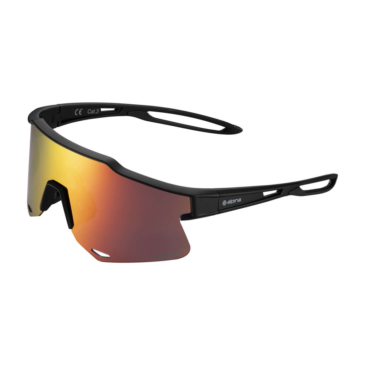 Alpina Sjusøen multisportbrille