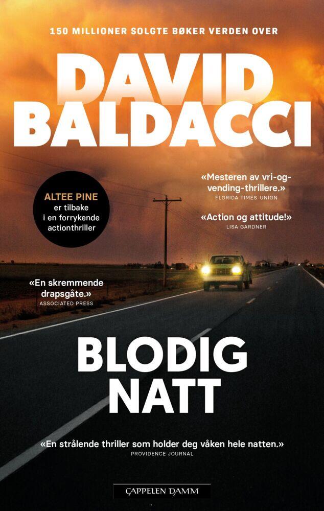 David Baldacci: Blodig natt