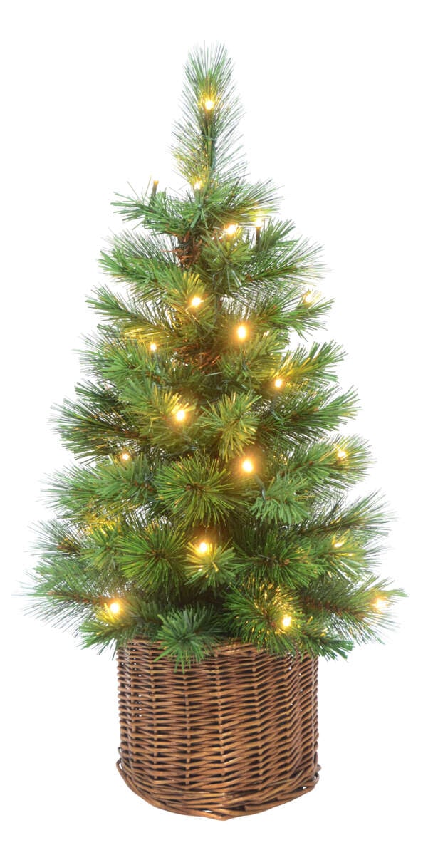 Furubusk i flettetkurv 50cm