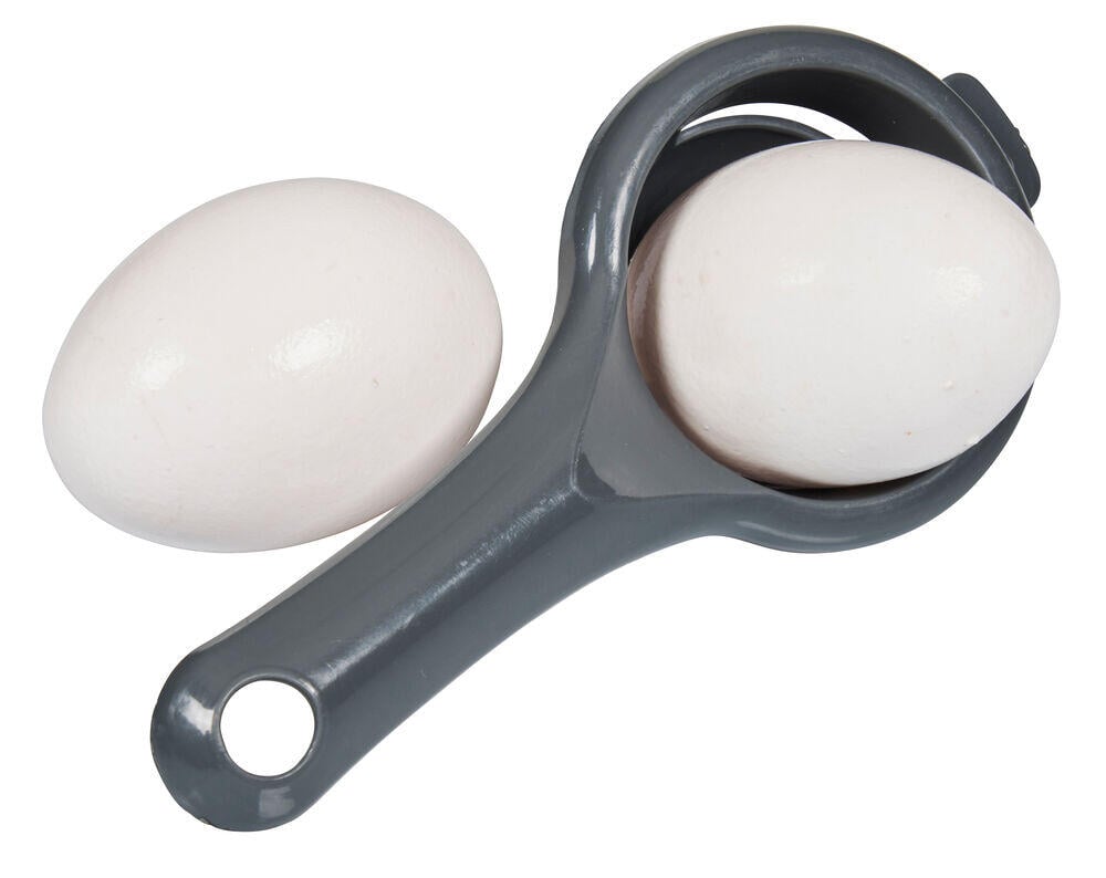 SPiiS eggsil