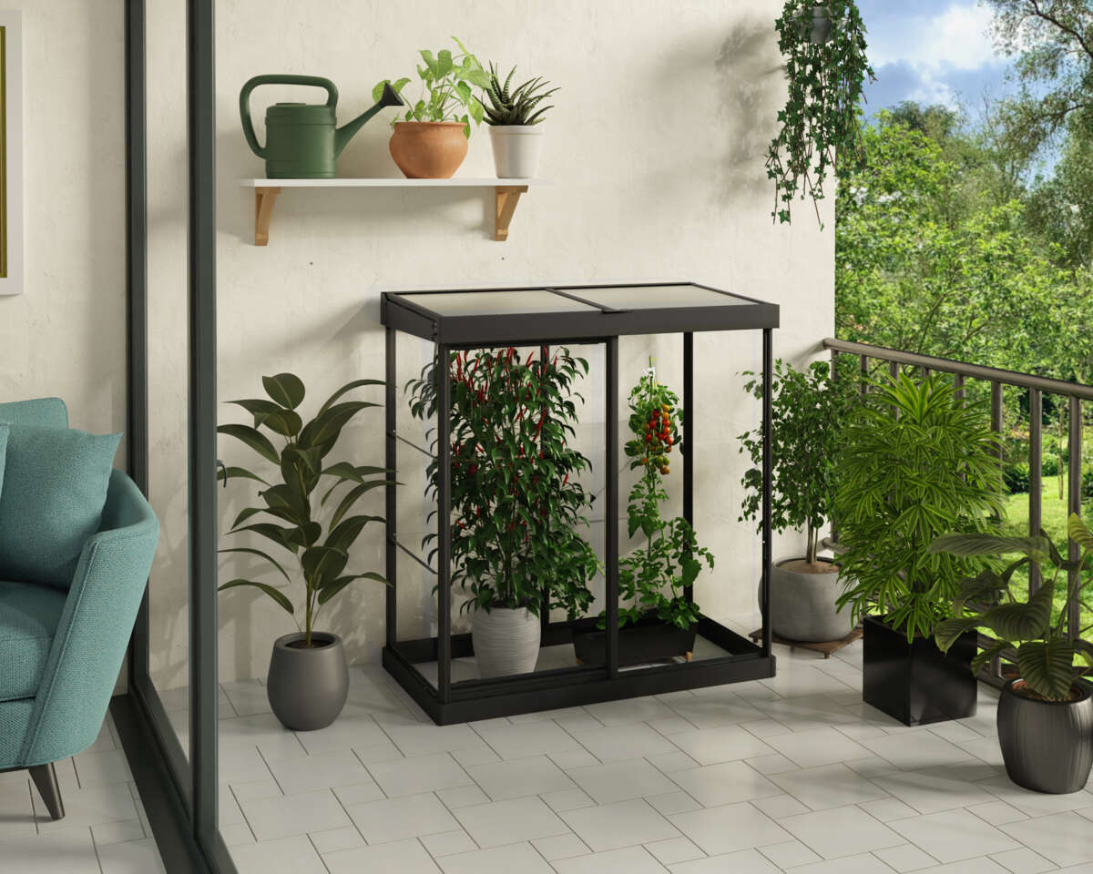 Palram - Canopia Ivy mini drivhus 0,8 m²