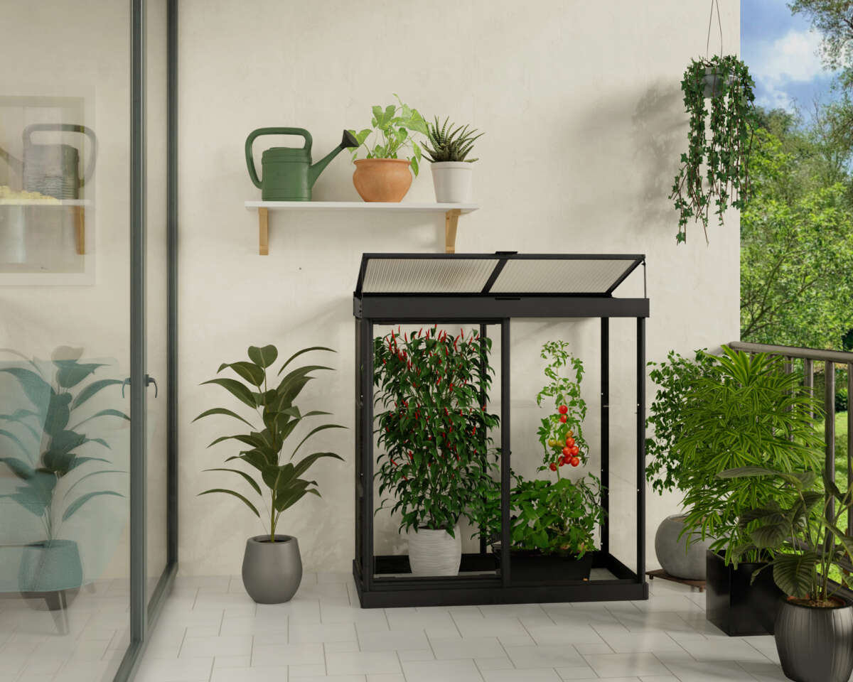 Palram - Canopia Ivy mini drivhus 0,8 m²