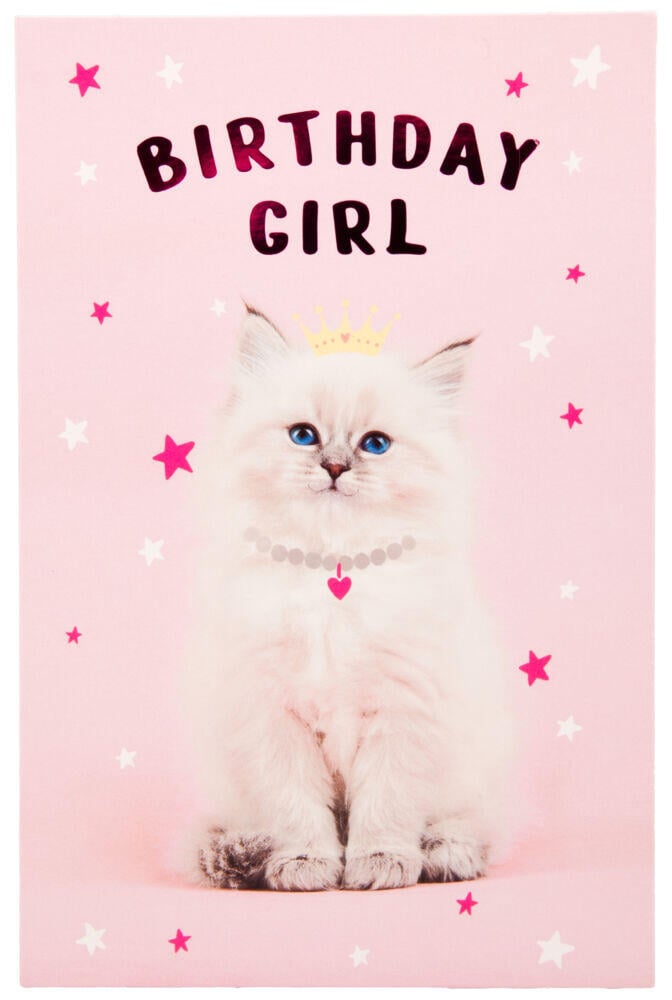 Kort Katt Birthday Girl