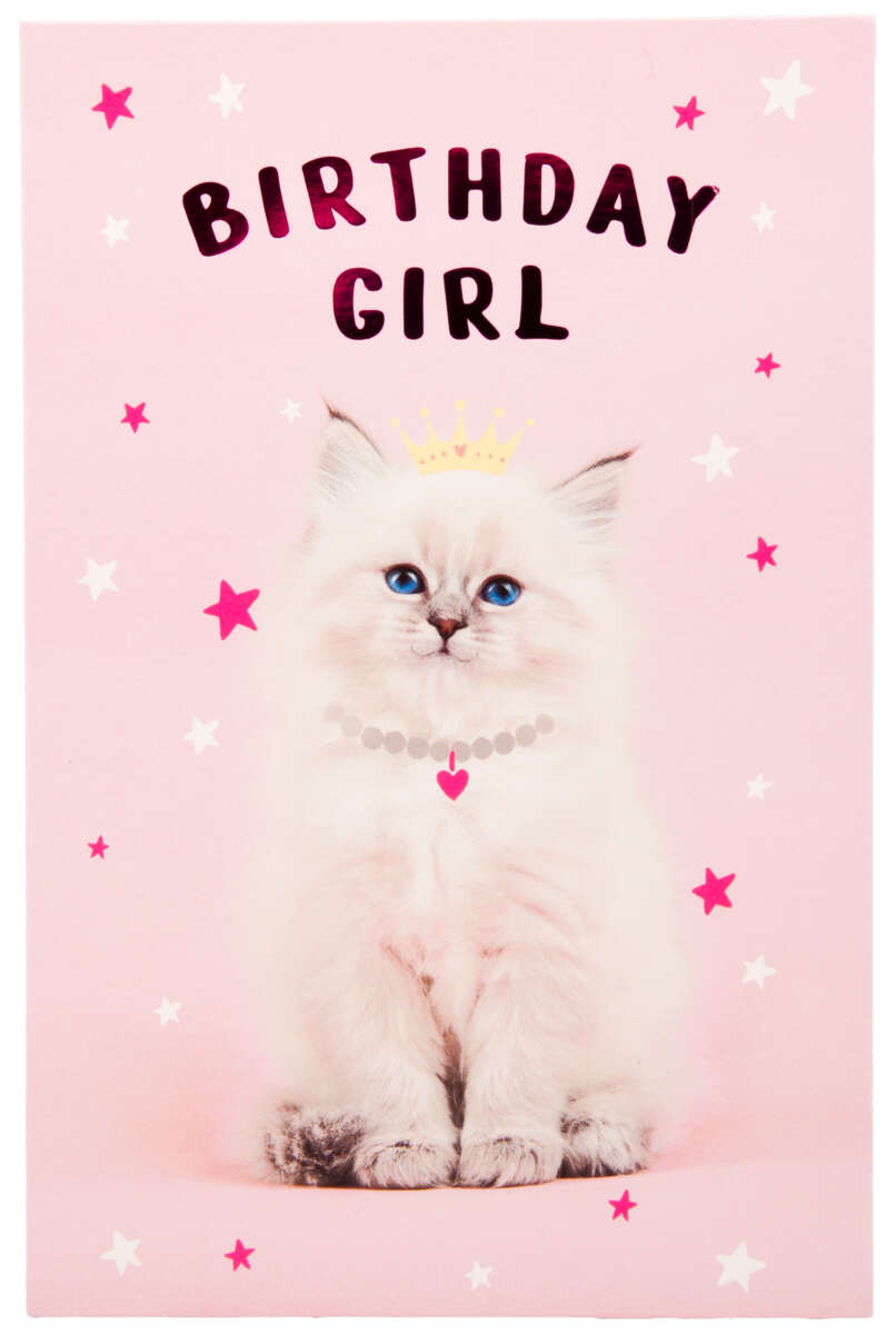 Kort Katt Birthday Girl