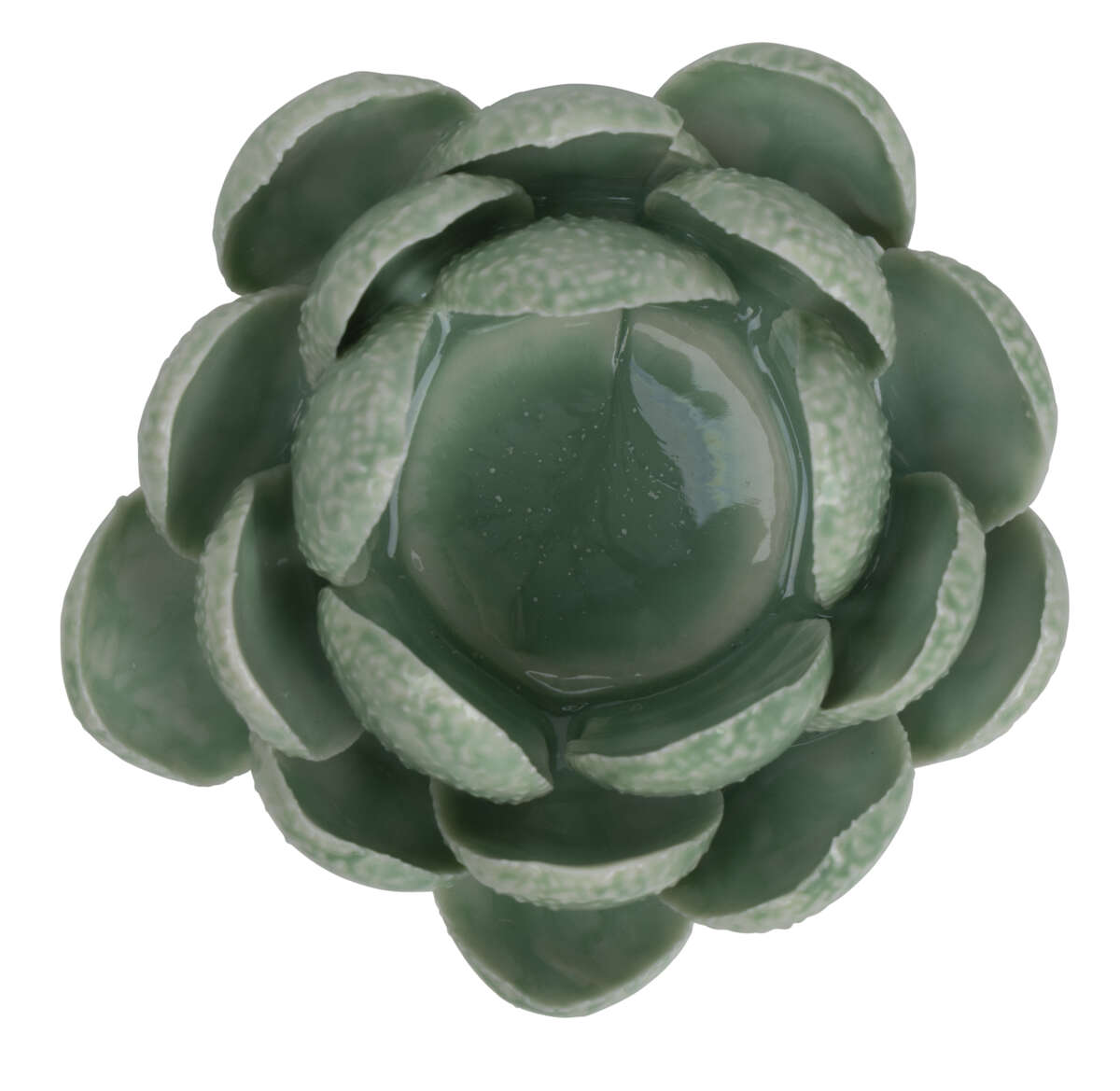 Florus Telysholder