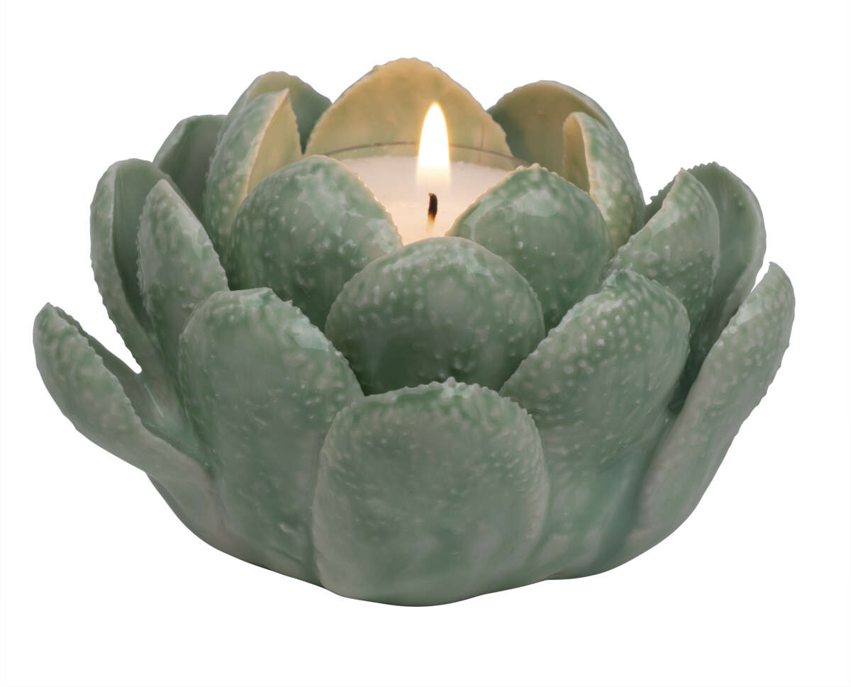 Florus Telysholder