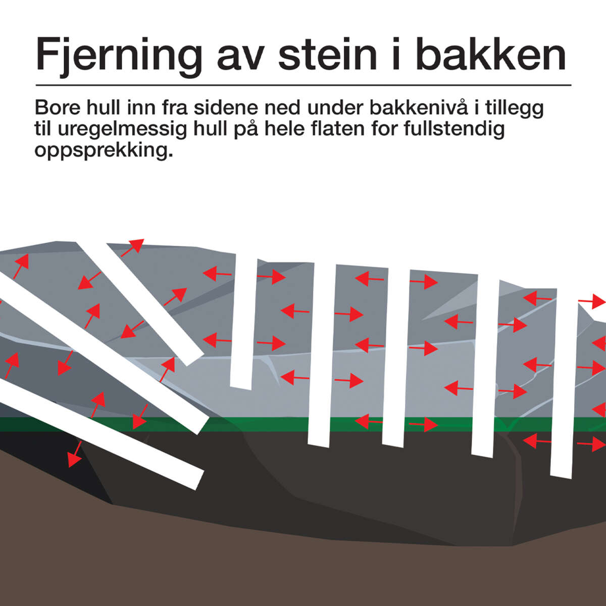 Robust Steinknuser
