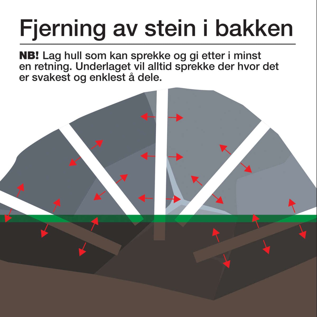 Robust Steinknuser