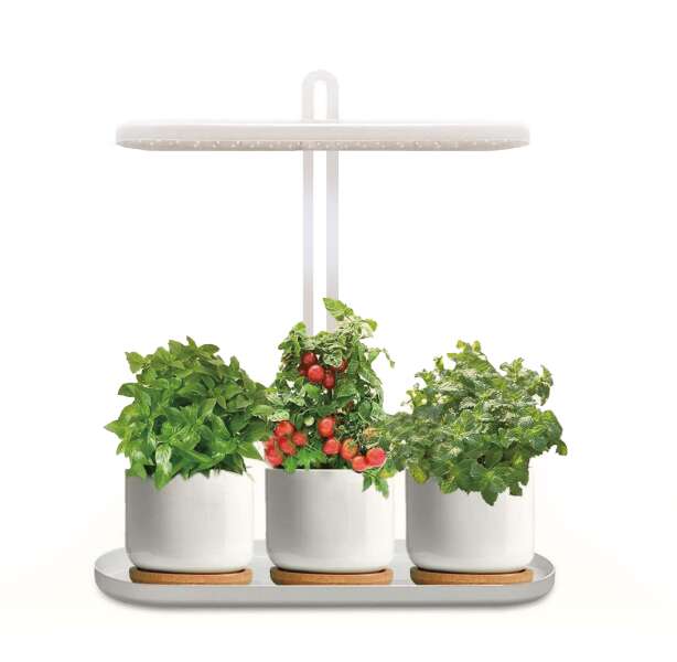 Odle led vekstlys m/brett