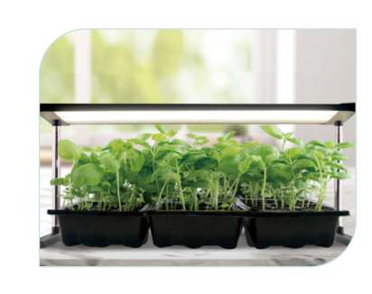 Odle vekstlys på stativ 24W