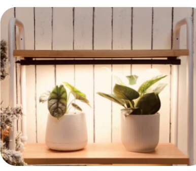 Odle vekstlys på stativ 24W