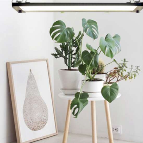 Odle vekstlys på stativ 24W