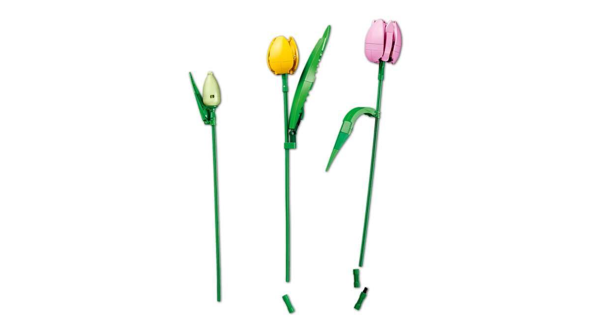 LEGO® Botanicals Tulipanbukett 11501