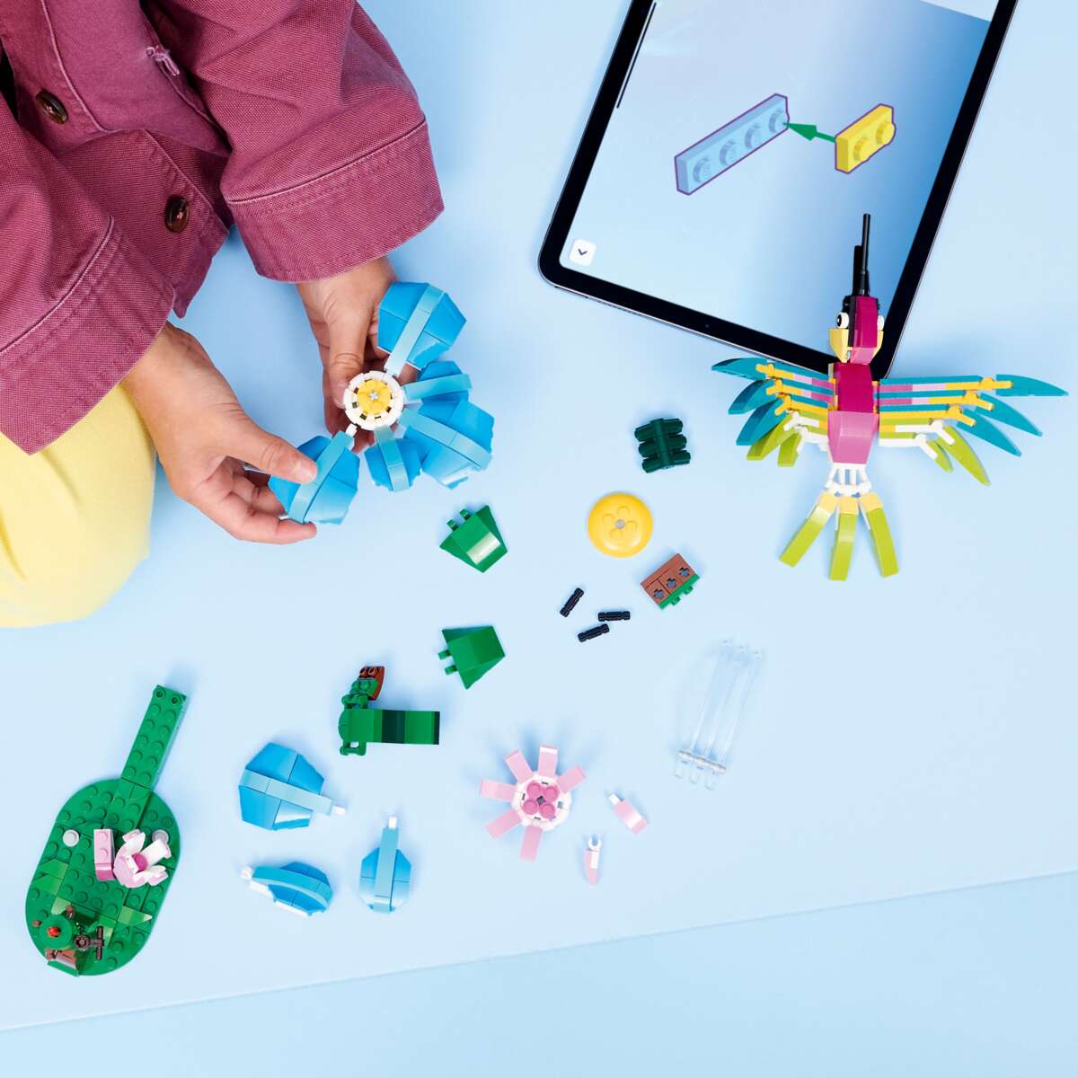 LEGO® Creator Ville dyr: fargeglad kolibri 31384