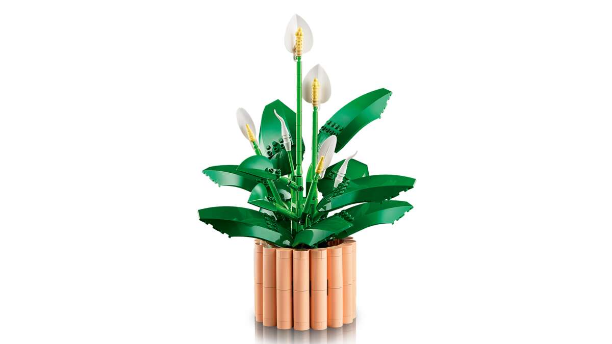 LEGO® Botanicals Fredslilje 11504