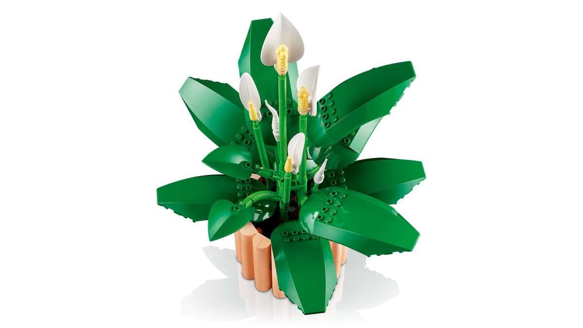 LEGO® Botanicals Fredslilje 11504