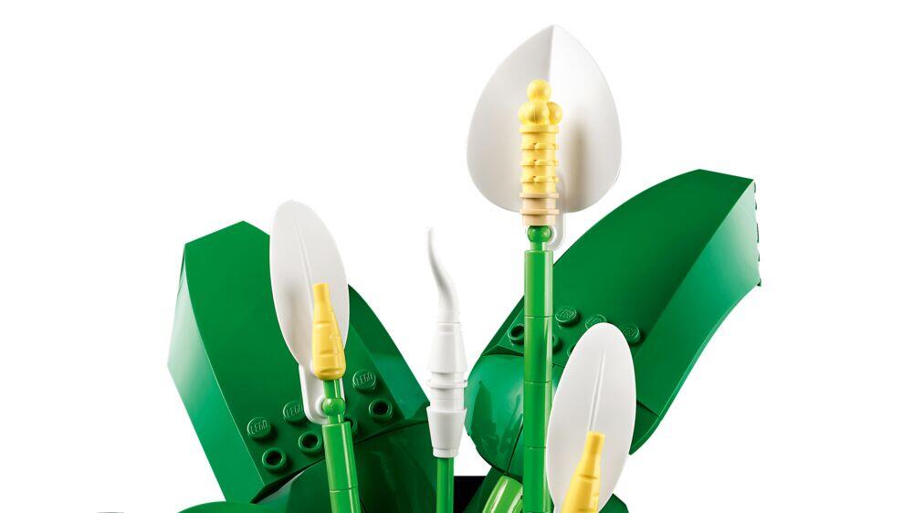 LEGO® Botanicals Fredslilje 11504