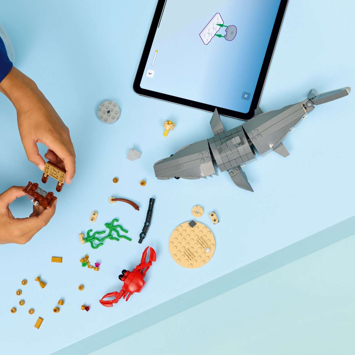 LEGO® Creator Blodtørstig hai med skattkiste 31381