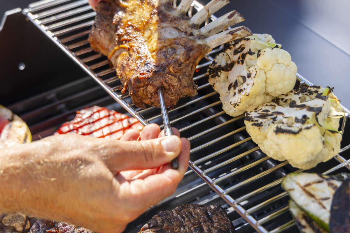 FCC trådløst termometer