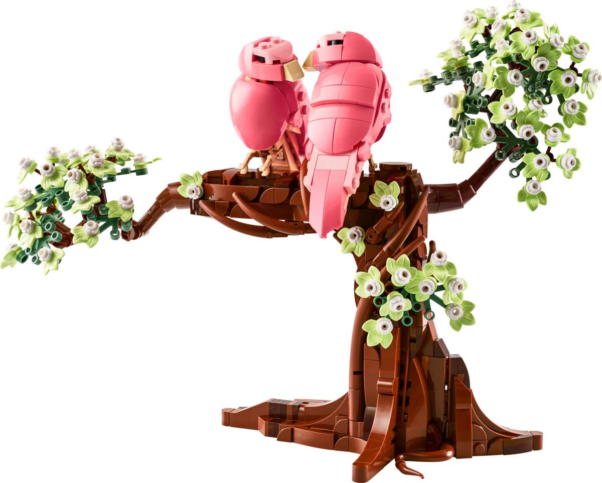 LEGO® Ideas Turtelduer 21365