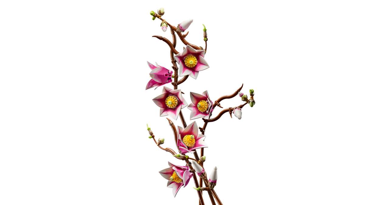 LEGO® Botanicals Magnolia-grener 11510