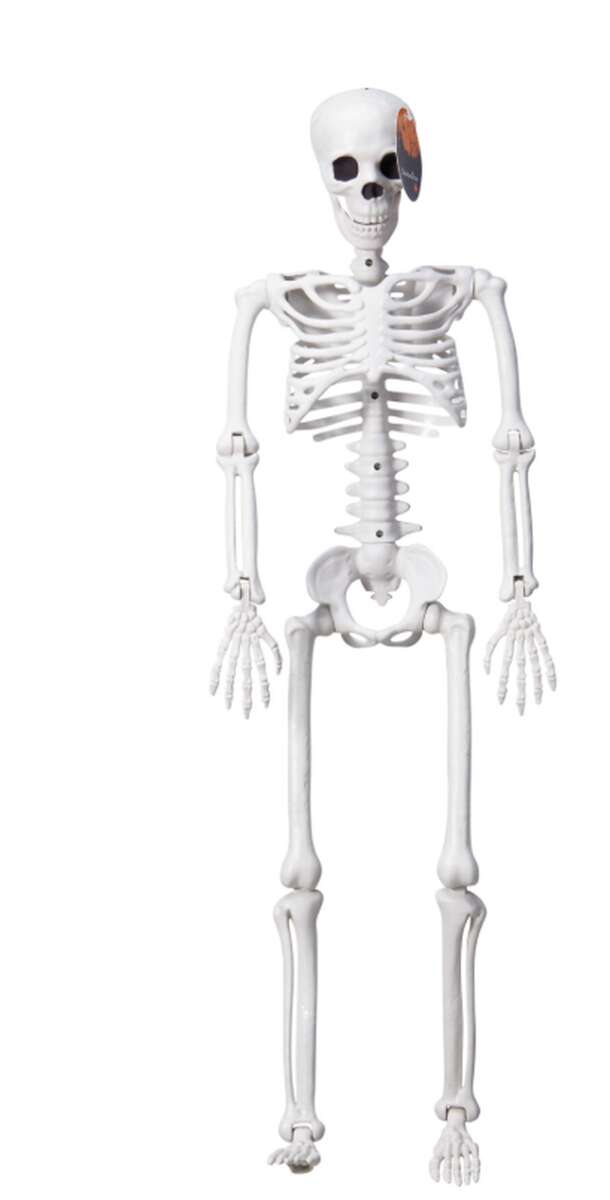 Halloween skjelett