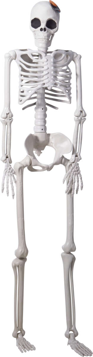 Halloween skjelett