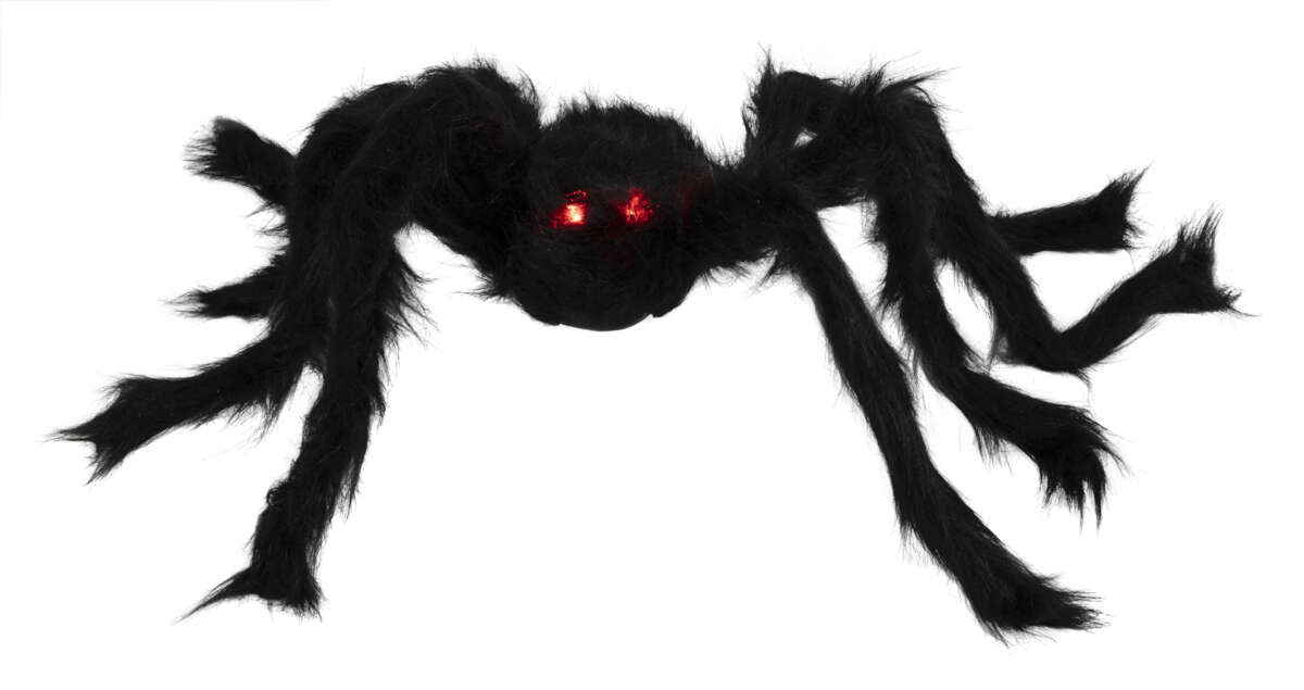 Halloween edderkopp