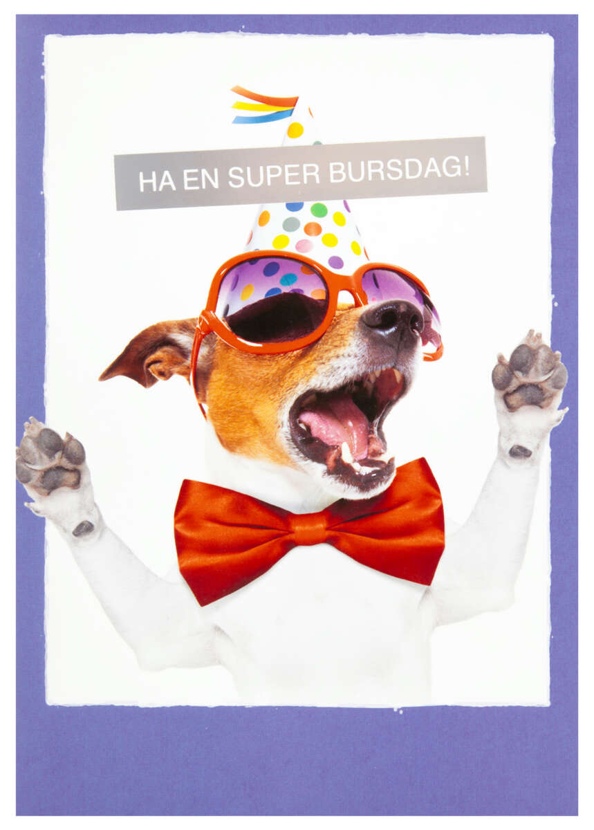 Kort Ha en super bursdag!
