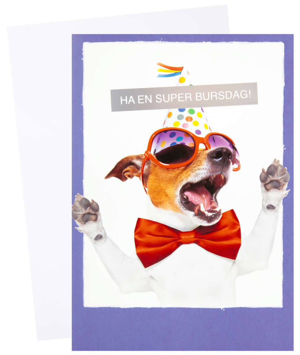 Kort Ha en super bursdag!