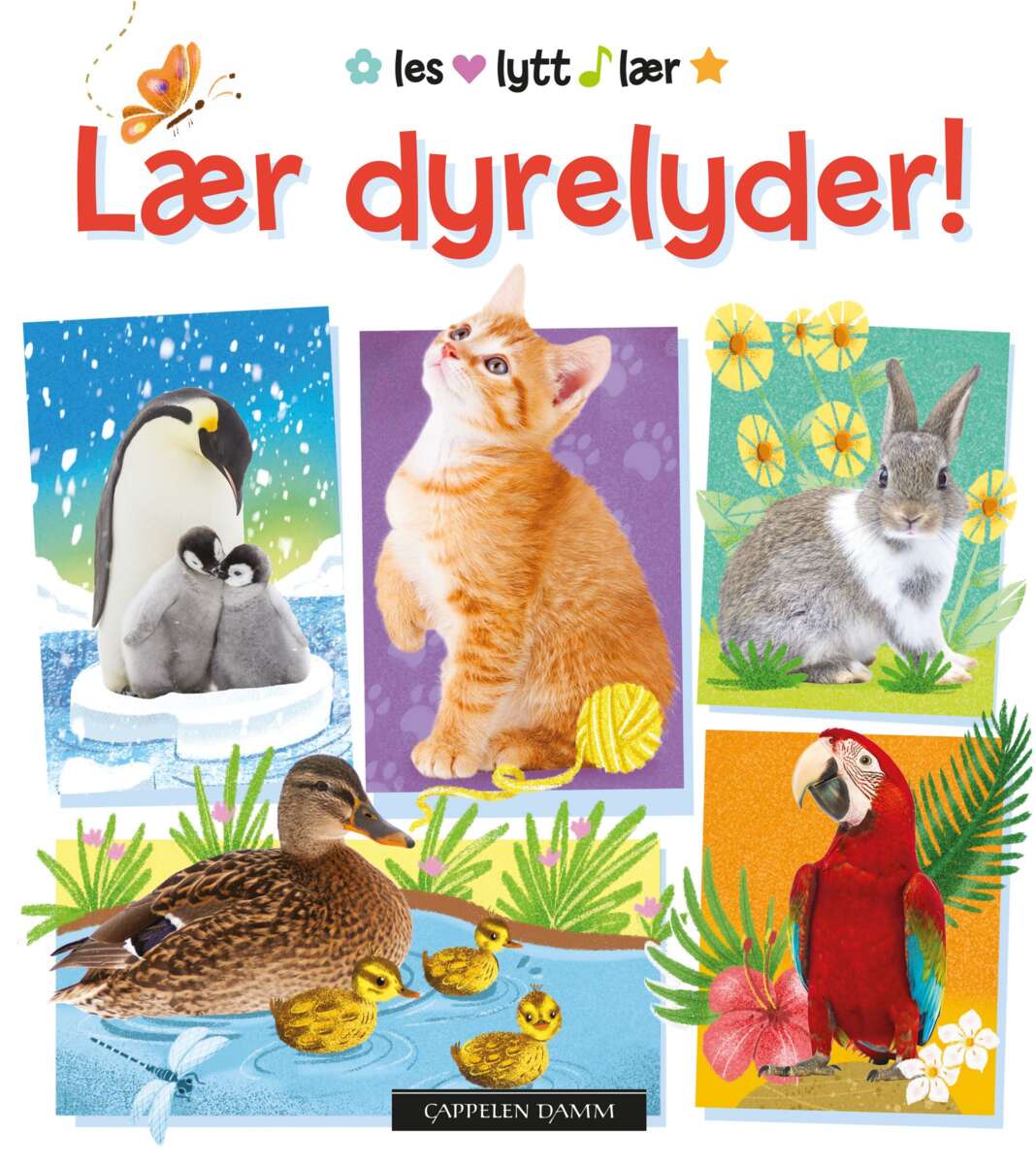 Lær dyrelyder!