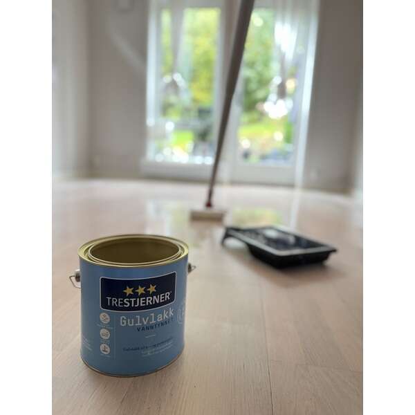 TreStjerner gulvlakk