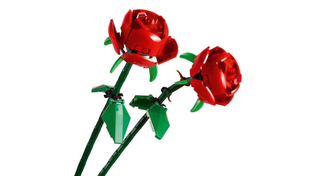 LEGO® Botanicals Roser 40460