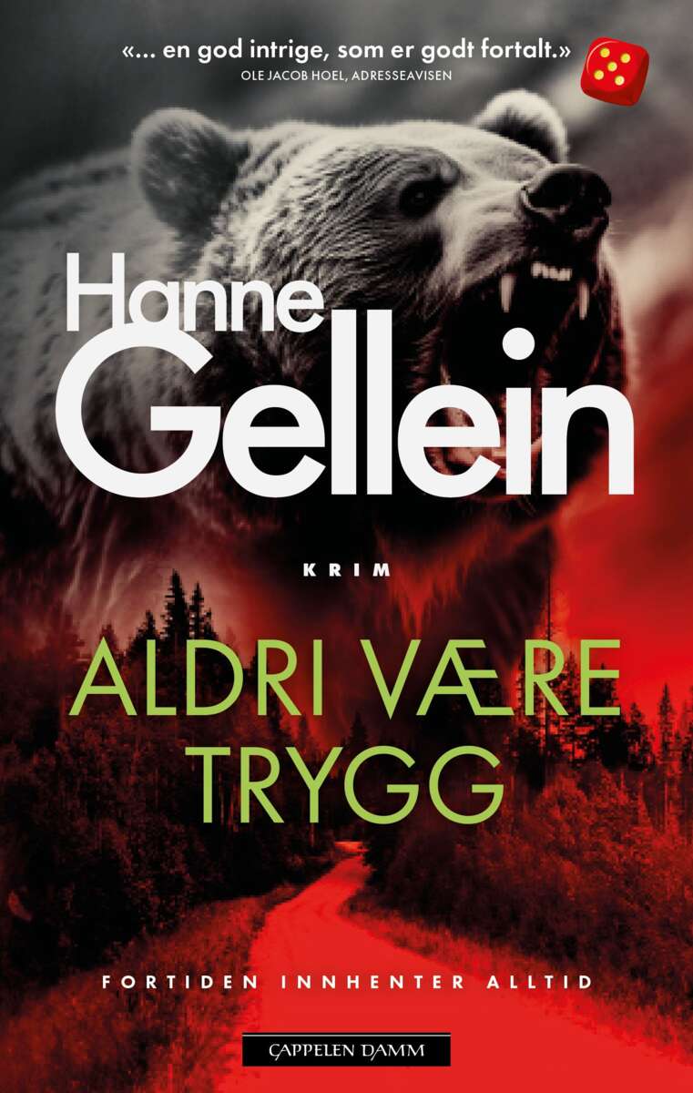 Hanne Gellein: Aldri være trygg