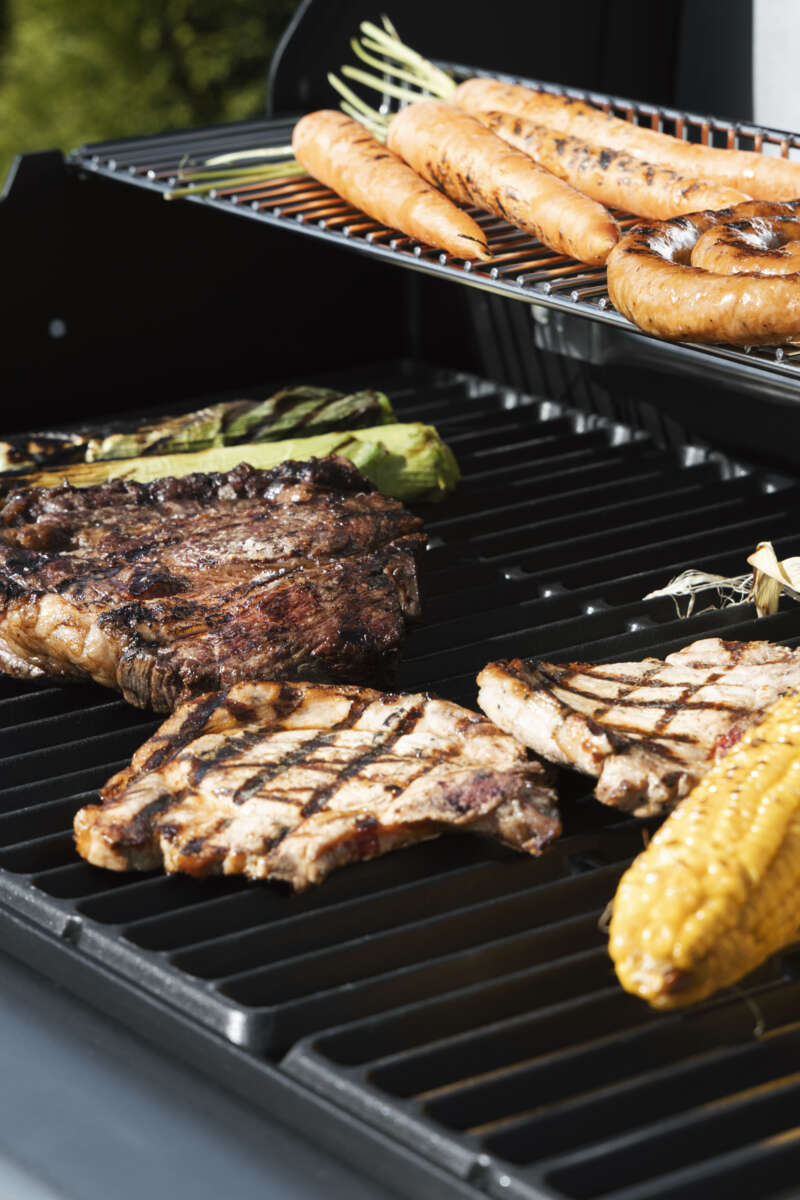 FCC President Pro 4.1 SS gassgrill