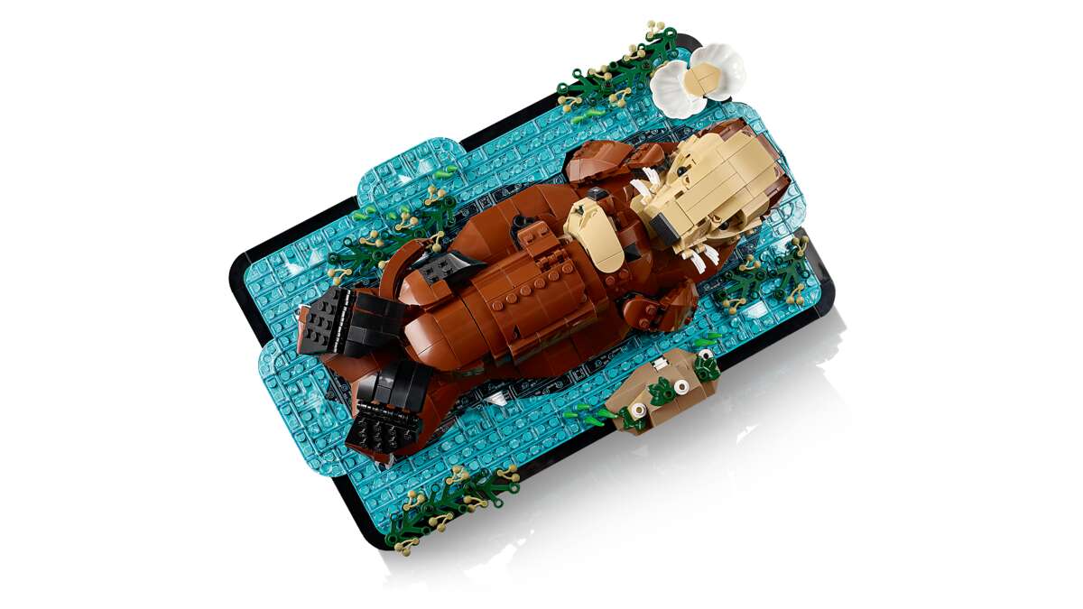LEGO® Ideas Flytende havotere 21366