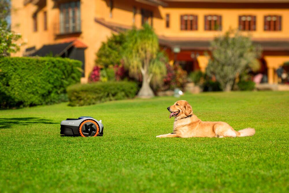 Navimow 105E mower robotklipper m/terrenghjul