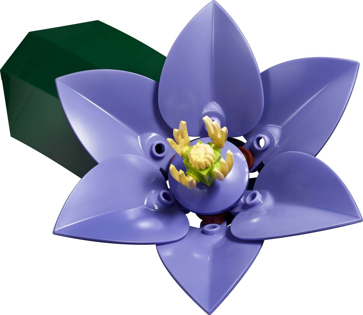 LEGO® Botanicals Blomstervegg 11503