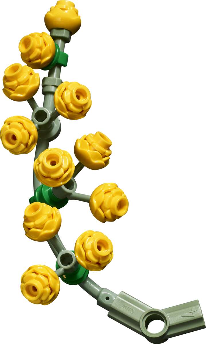 LEGO® Botanicals Blomstervegg 11503