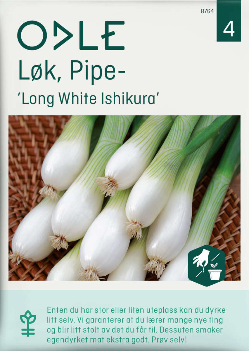 Odle Løk, Pipe-, Long White Ishikura frø