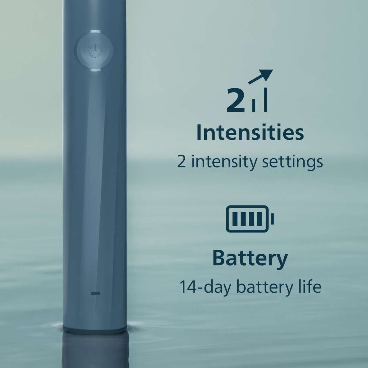 Philips Sonicare HX4021/04 elektrisk tannbørste