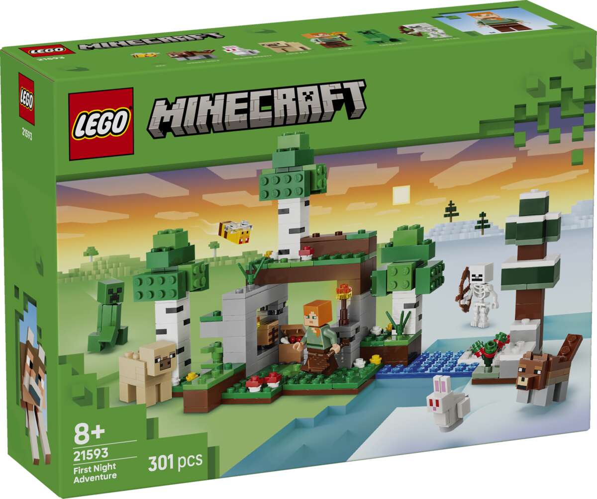 LEGO® Minecraft® Eventyr den første natten 21593