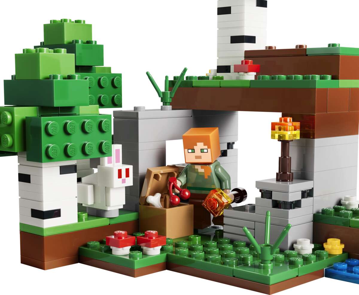 LEGO® Minecraft® Eventyr den første natten 21593