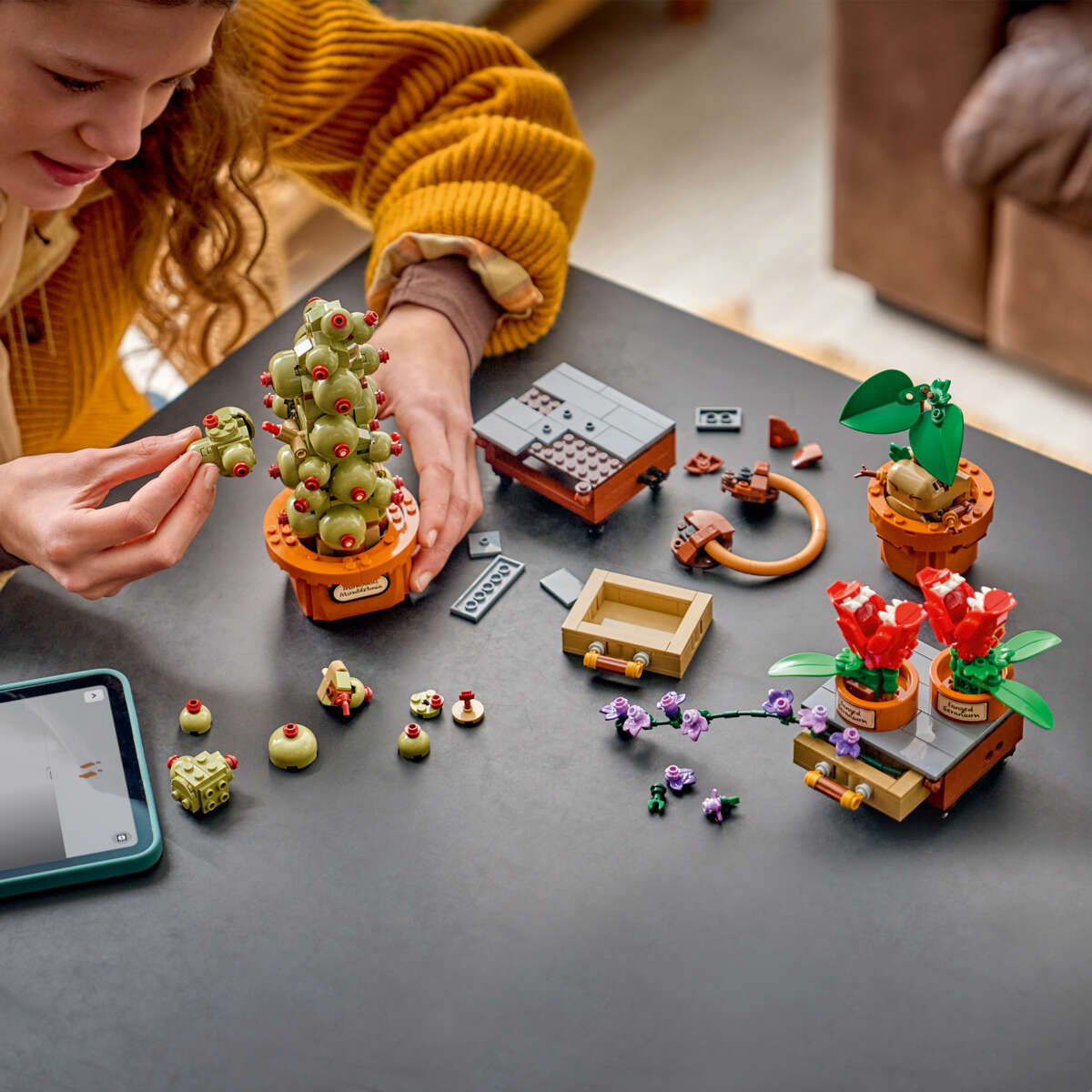 LEGO® Harry Potter™ Urtologiplanter på Galtvort 76474